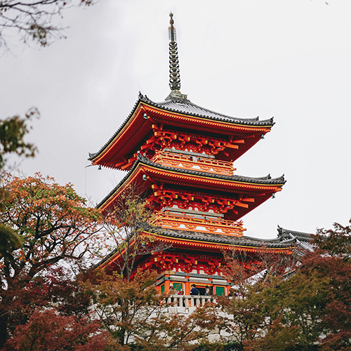 syudy in japan gallery